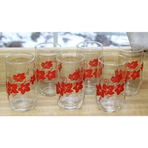 6 vintage floral glasses, MCM  12oz tropical floral glass